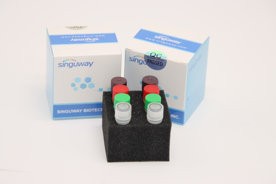 ফ্লুরোসেন্ট রিয়েল টাইম HCV RT PCR কিট HSV2 টেস্ট কিট ল্যাবরেটরি ব্যবহার CE