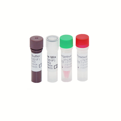 HBV HCV HIV-1 জিনোম RT PCR টেস্ট কিট উচ্চ সংবেদনশীলতা 30 IU/ML