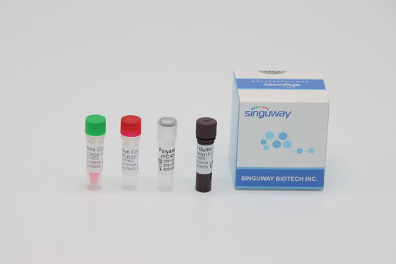 CMV ভাইরাস RT PCR টেস্ট কিট রিয়েল টাইম নিউক্লিক অ্যাসিড টেস্টিং ISO13485