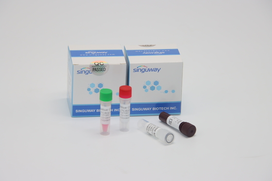 HFMD ভাইরাস পরীক্ষার জন্য দ্রুত RT PCR টেস্ট কিট পরিমাণগত ফ্লুরোসেন্ট