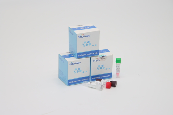 দ্রুত RSV ভাইরাস ইনস্ট্যান্ট RT PCR টেস্ট কিট POCT IVD ক্লিনিকাল ডায়াগনসিস উচ্চ নির্ভুলতা