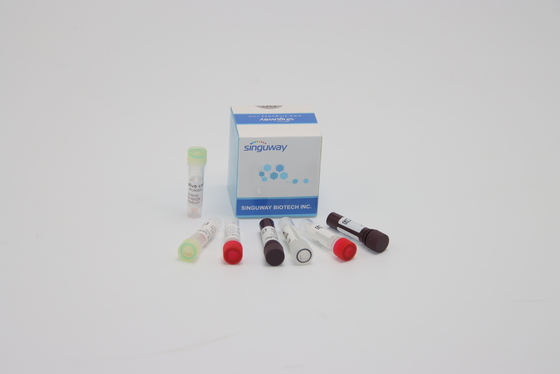 ORF1ab HPV PCR ডিটেকশন কিট নিউক্লিক অ্যাসিড জেনেটিক টেস্টিং ক্লিনিকাল রোগ নির্ণয়ের জন্য