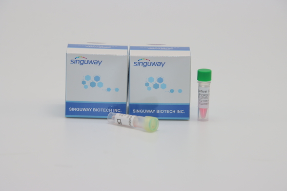 জিনগত পরীক্ষার জন্য Singuway HSV II ভাইরাস PCR সনাক্তকরণ কিট পরিমাণগত ফ্লুরোসেন্ট